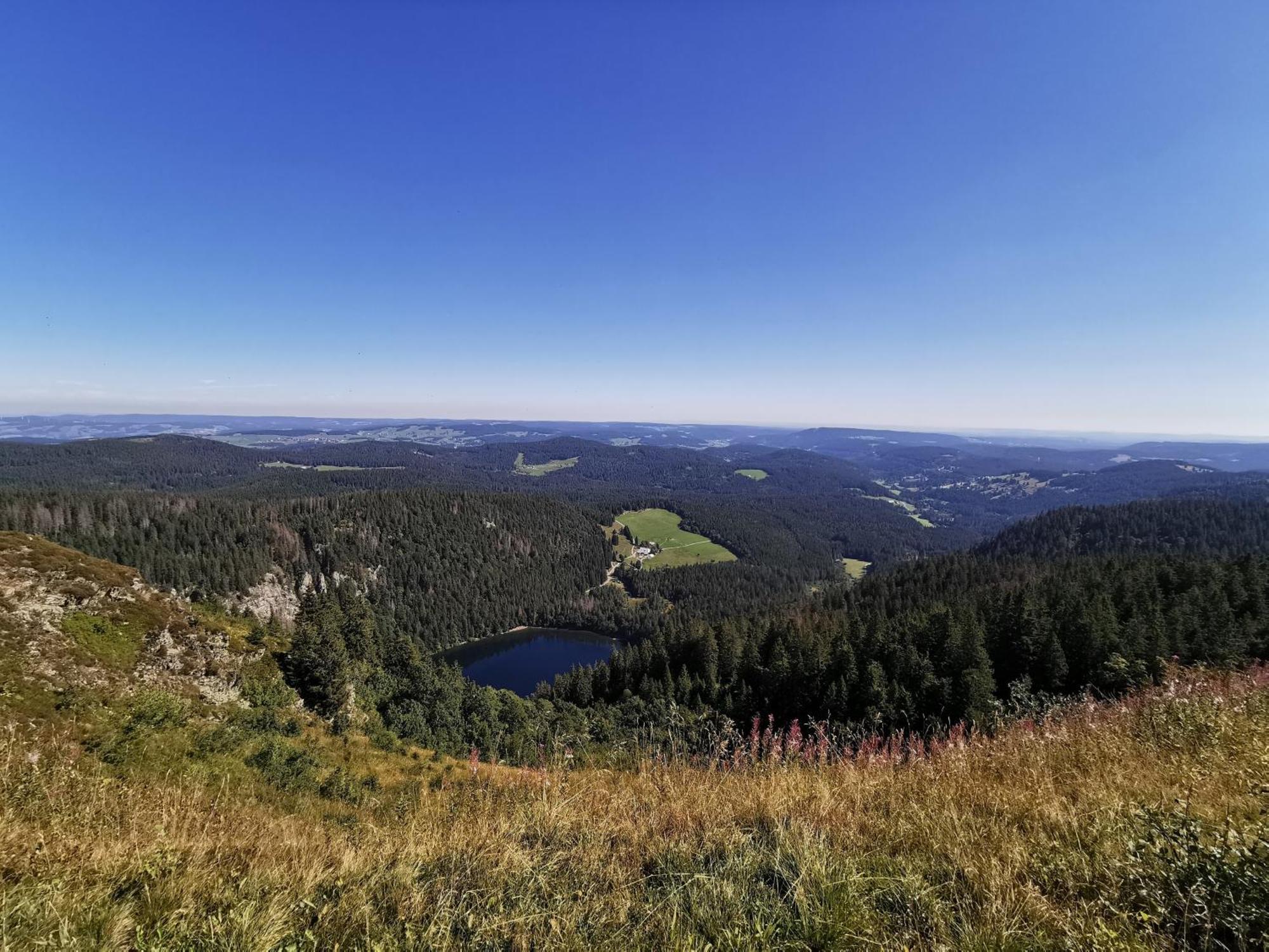 Fewo 1 - Residenz Schauinsland - Mit Sauna, E-Ladestation, Todtnauberg, Bei Feldberg Exterior photo
